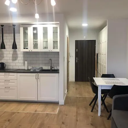 Nowy W Wisle Apartment *