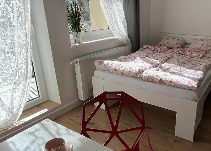 Nowy W Wisle דירה ויסלאו